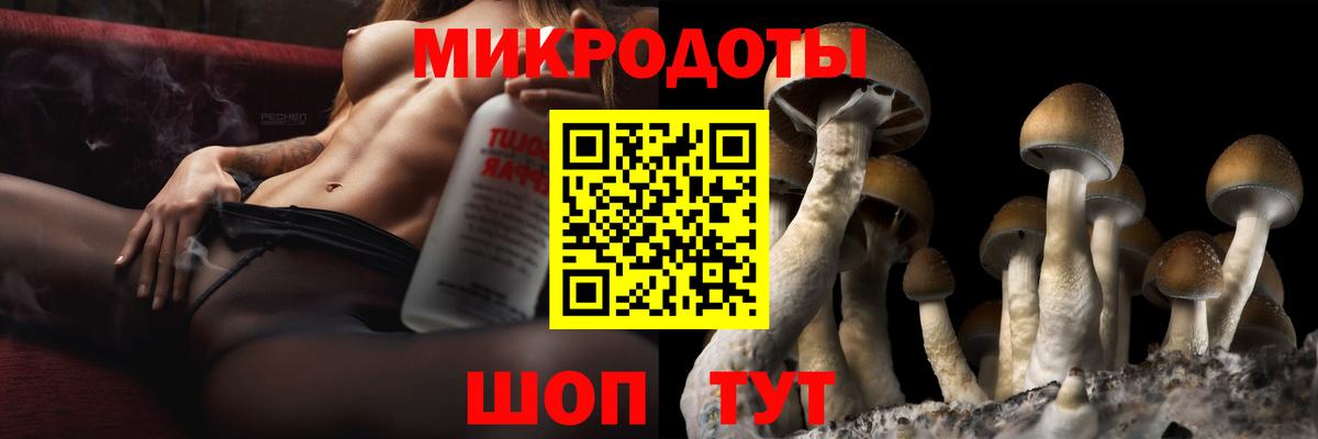 Псилоцибиновые грибы мицелий Сыктывкар